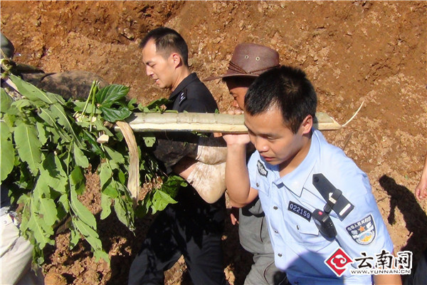 挖掘机翻坠300米悬坡 民警砍树枝做担架救援